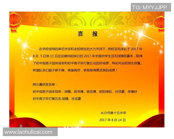 深圳羽毛球队在冠军赛中的意识表现分析与总结