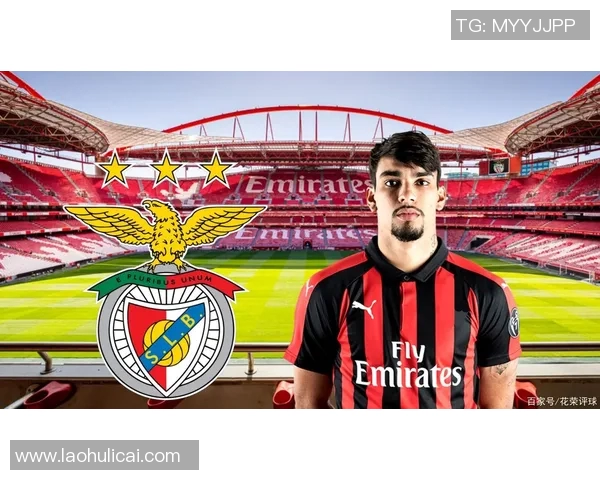 足球明星太太的学历揭秘她们背后的故事与成就 足球明星太太的学历揭秘她们背后的故事与成就