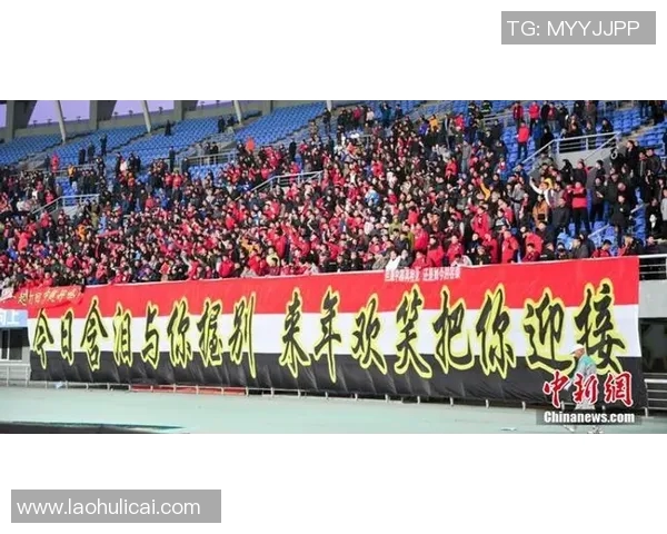 上海排球队重塑辉煌的反击革新之路探秘与展望 上海排球队重塑辉煌的反击革新之路探秘与展望