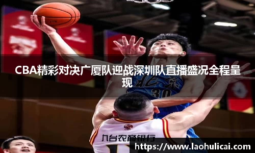 乐鱼体育APP