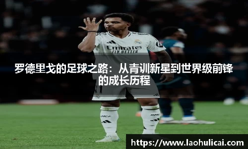 乐鱼体育官网