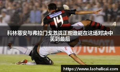 乐鱼体育平台