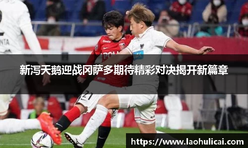 乐鱼体育APP